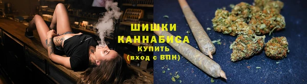 сатива Армянск