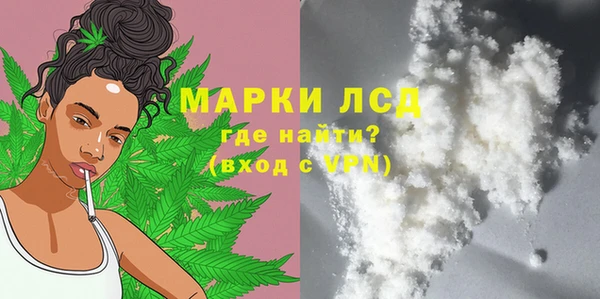 сатива Армянск