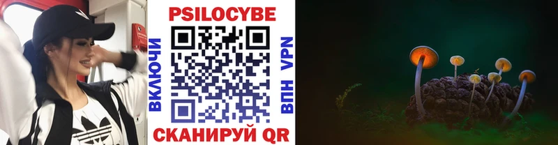 Галлюциногенные грибы GOLDEN TEACHER  Сарапул 